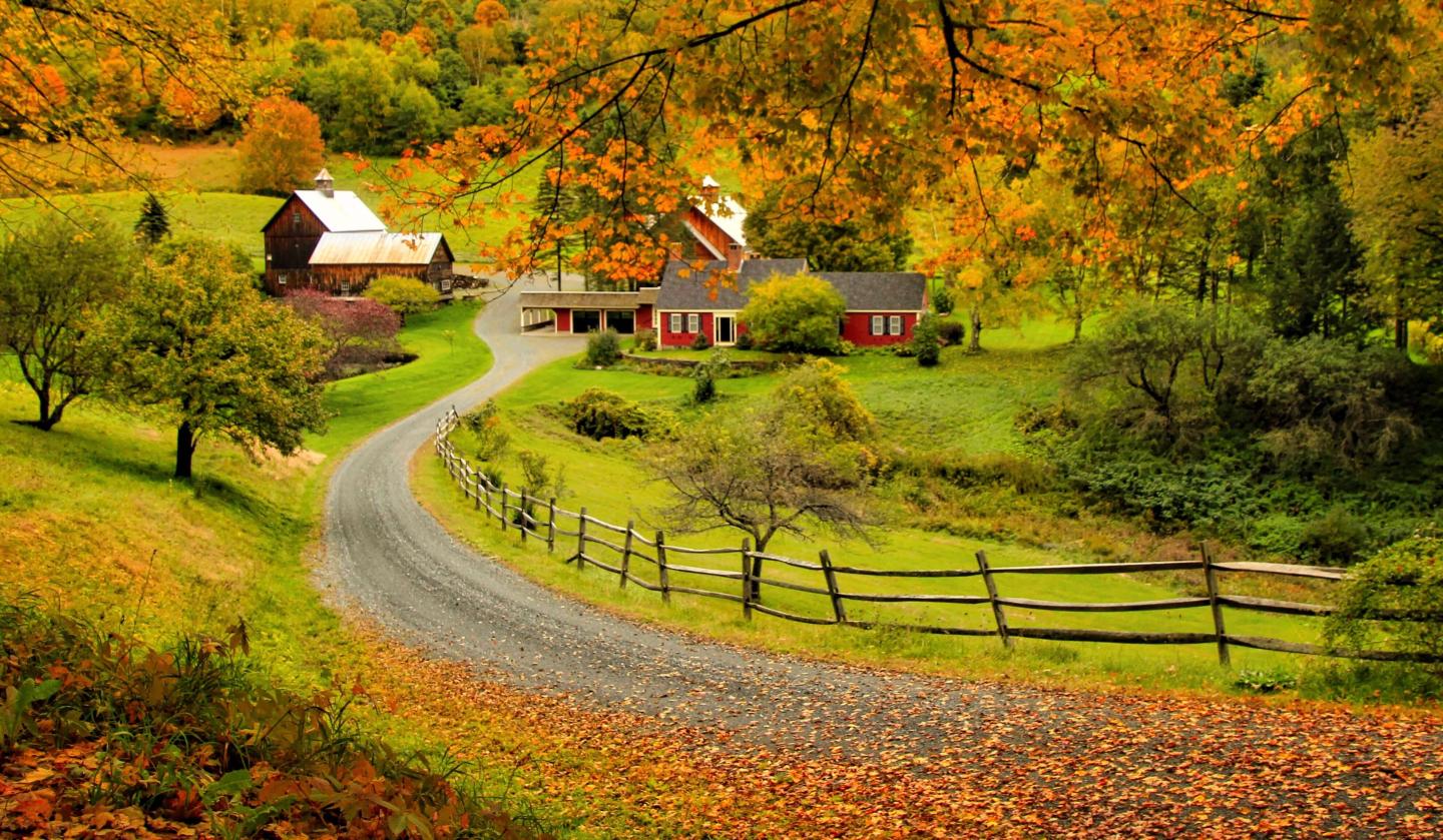 A photographer's guide to perfecting your fall foliage snaps Woodstock VT
